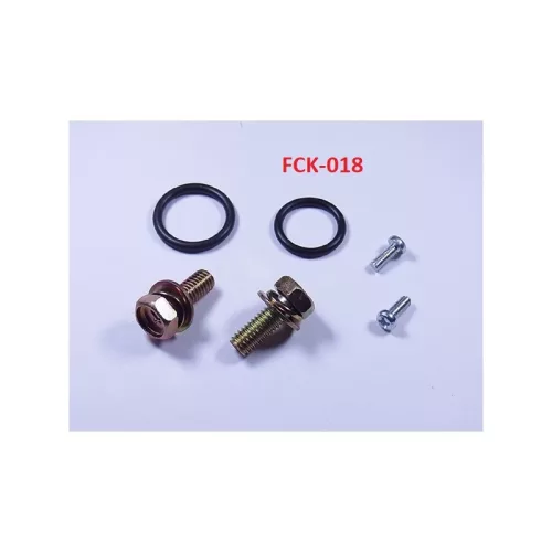 Kawasaki benzincsap felújító készlet